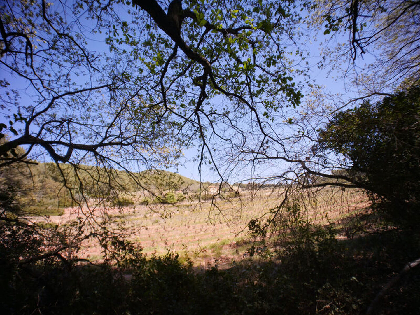 Le sentier des vignes