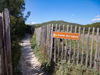 Le sentier des vignes