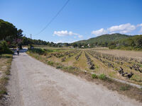 Le sentier des vignes