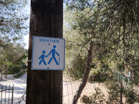 Le sentier des vignes