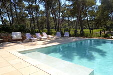 Piscine avec vue sur le vignoble