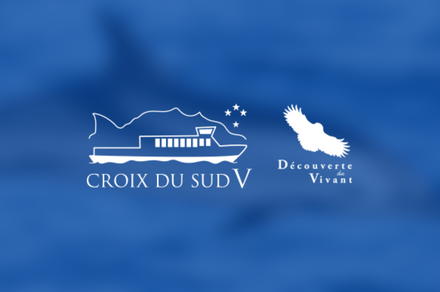 Croix du Sud V - Accueil à quai