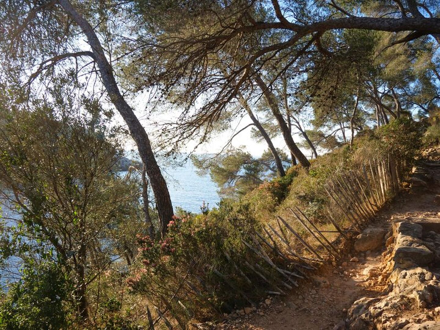 Le Sentier du littoral entre Port d'Alon et la Pointe Fauconnière