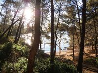 Le Sentier du littoral entre Port d'Alon et la Pointe Fauconnière