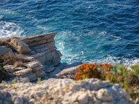 Le Sentier du littoral entre Port d'Alon et la Pointe Fauconnière