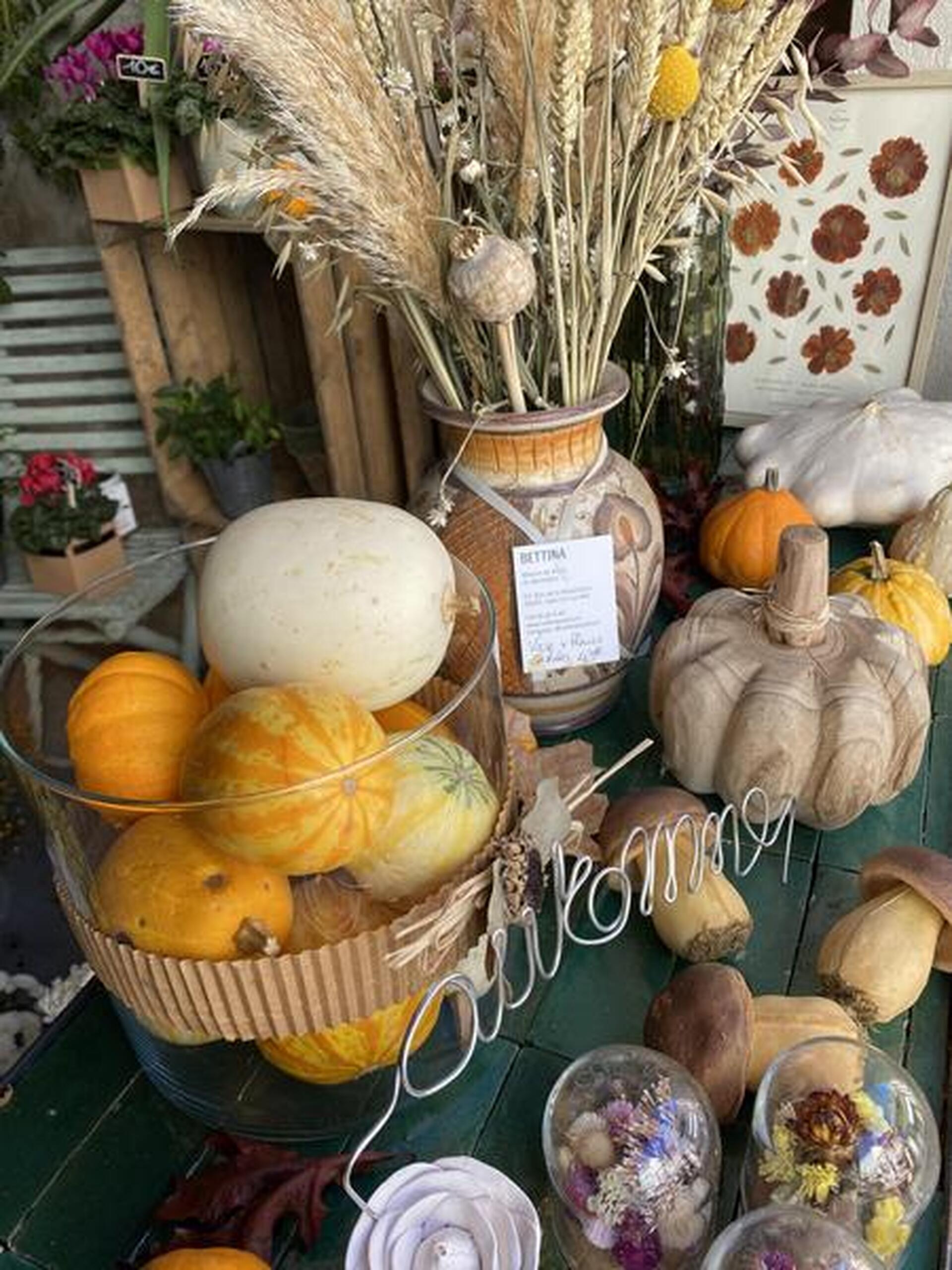 Vitrine décoration Automne