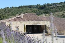 domaine-souviou-lavandes-bandol-vignoble-vin