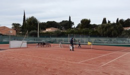 Court de tennis