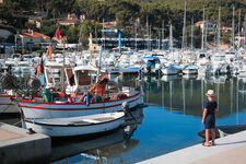 Marché estival du port de la Madrague