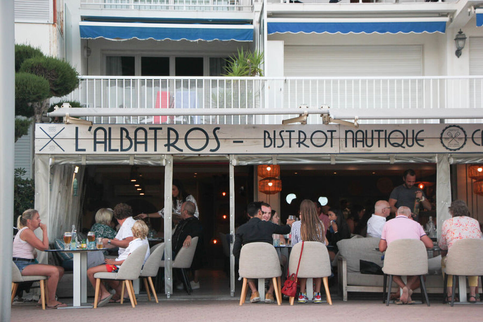 L'albatros