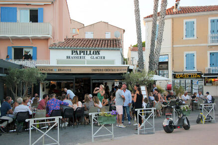 Brasserie Papillon