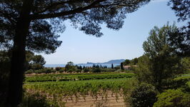 Vue en face de la maison