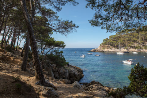 Calanque de port d'Alon