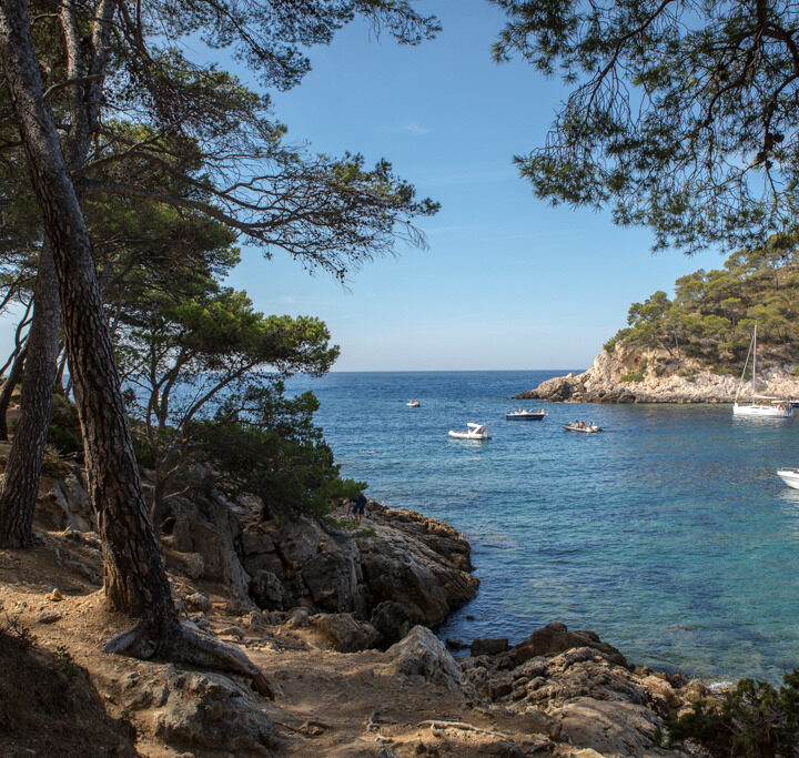 calanque_de_port_dalon_bateaux_pins_page_plages