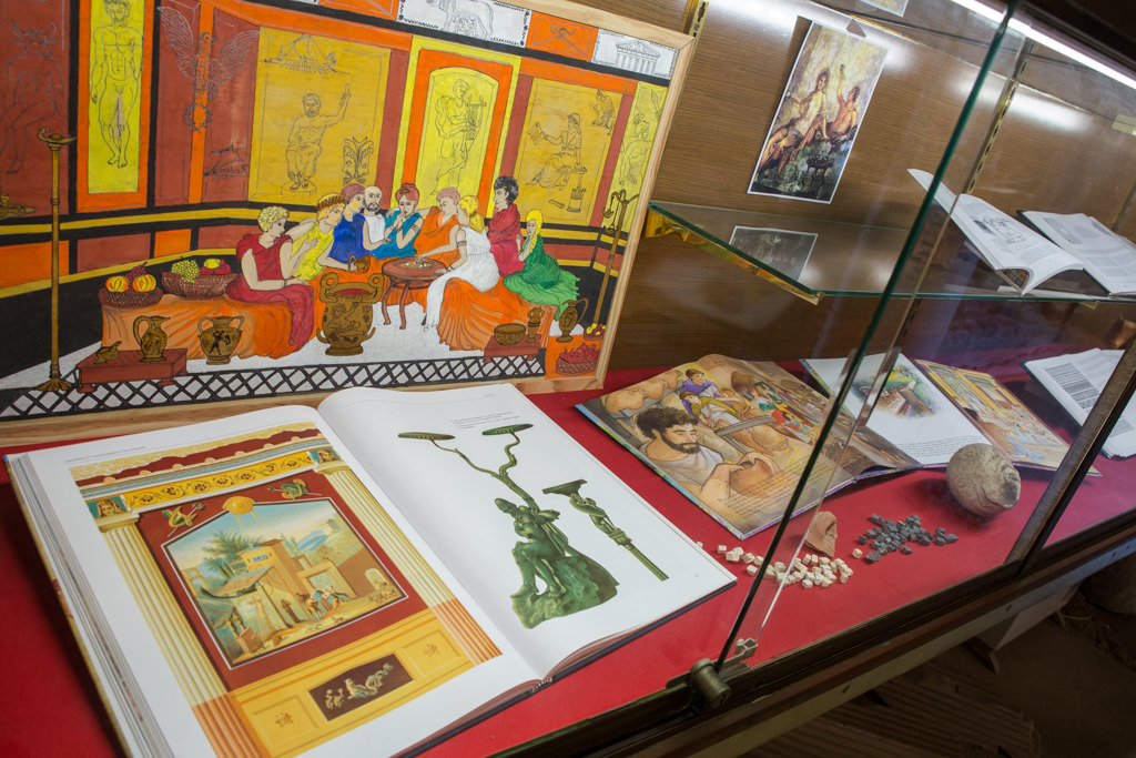 vitrines du musée de Tauroentum