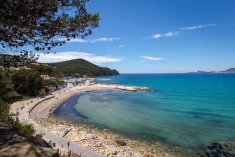 La plage de la Madrague