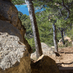 Sentier du littoral