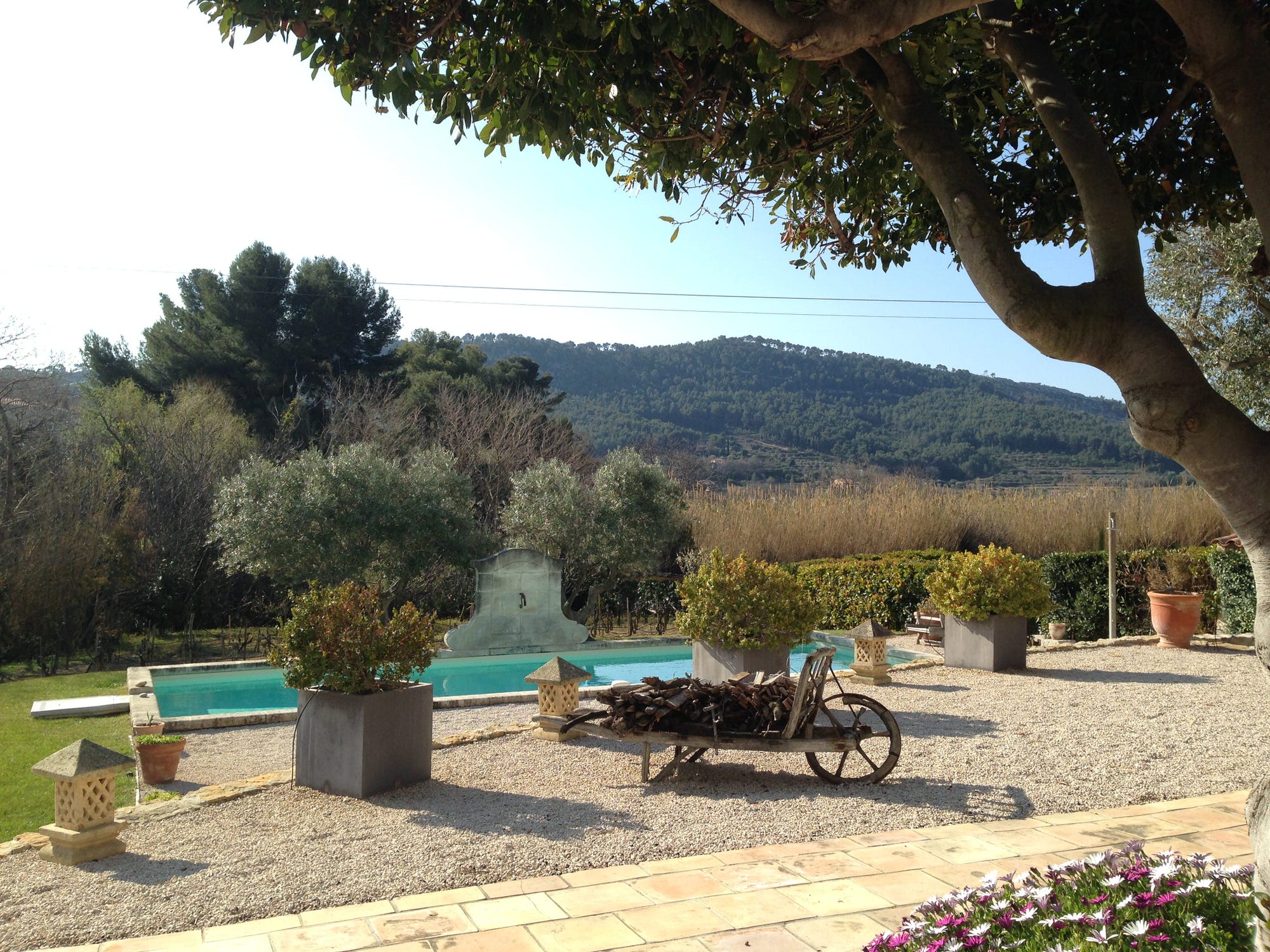 vue jardin, chambre d'hôte avec vue piscine