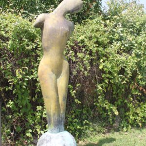 La terre sur la planète bleue de Renata Senso