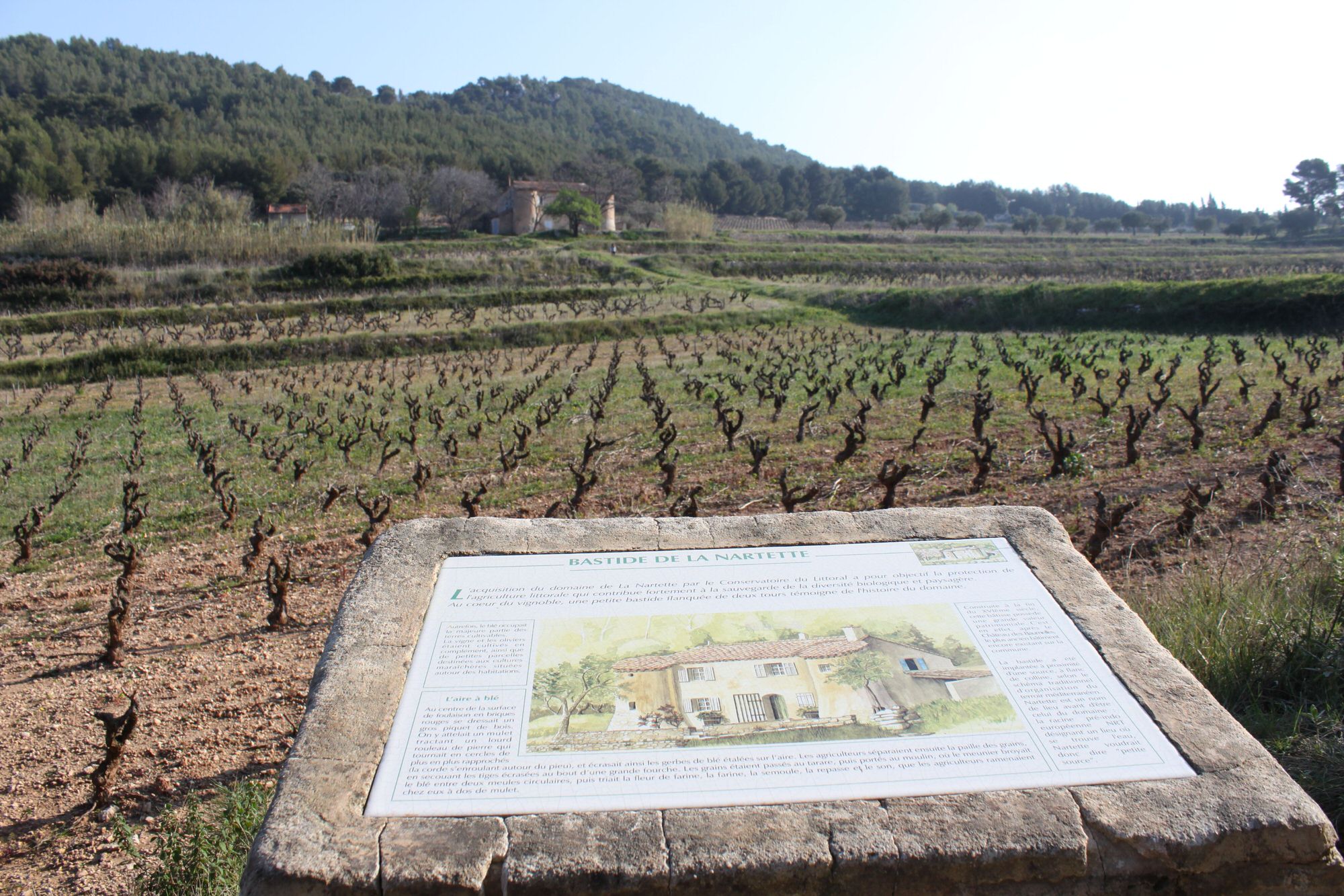 Table d'informations sur le sentier des vignes