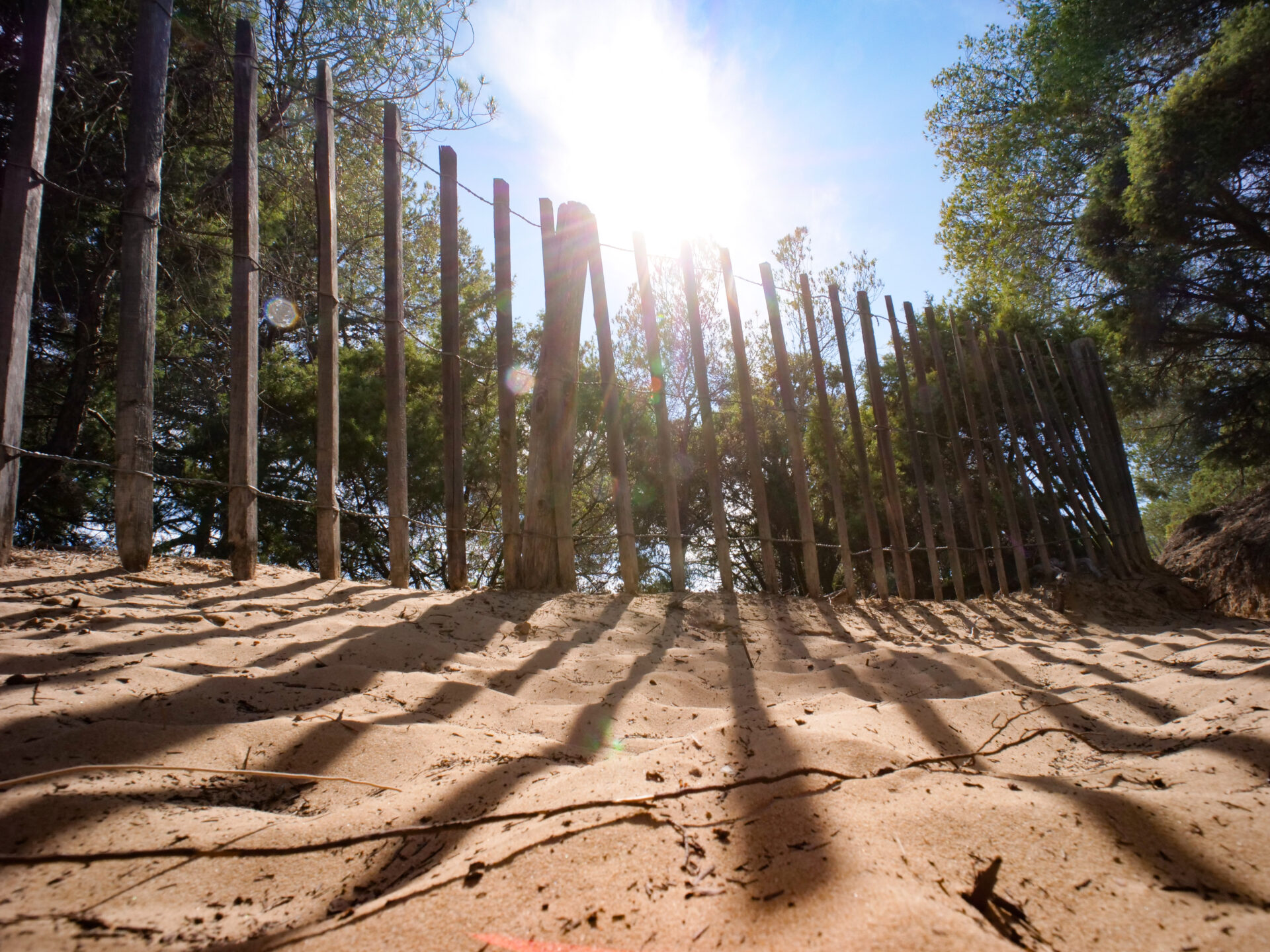 Dune de sable