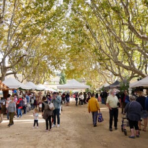 Marché Alsacien 2020-7