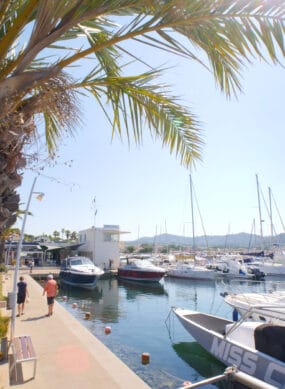 Vue du Nouveau port des Lecques Palmiers et bateaux