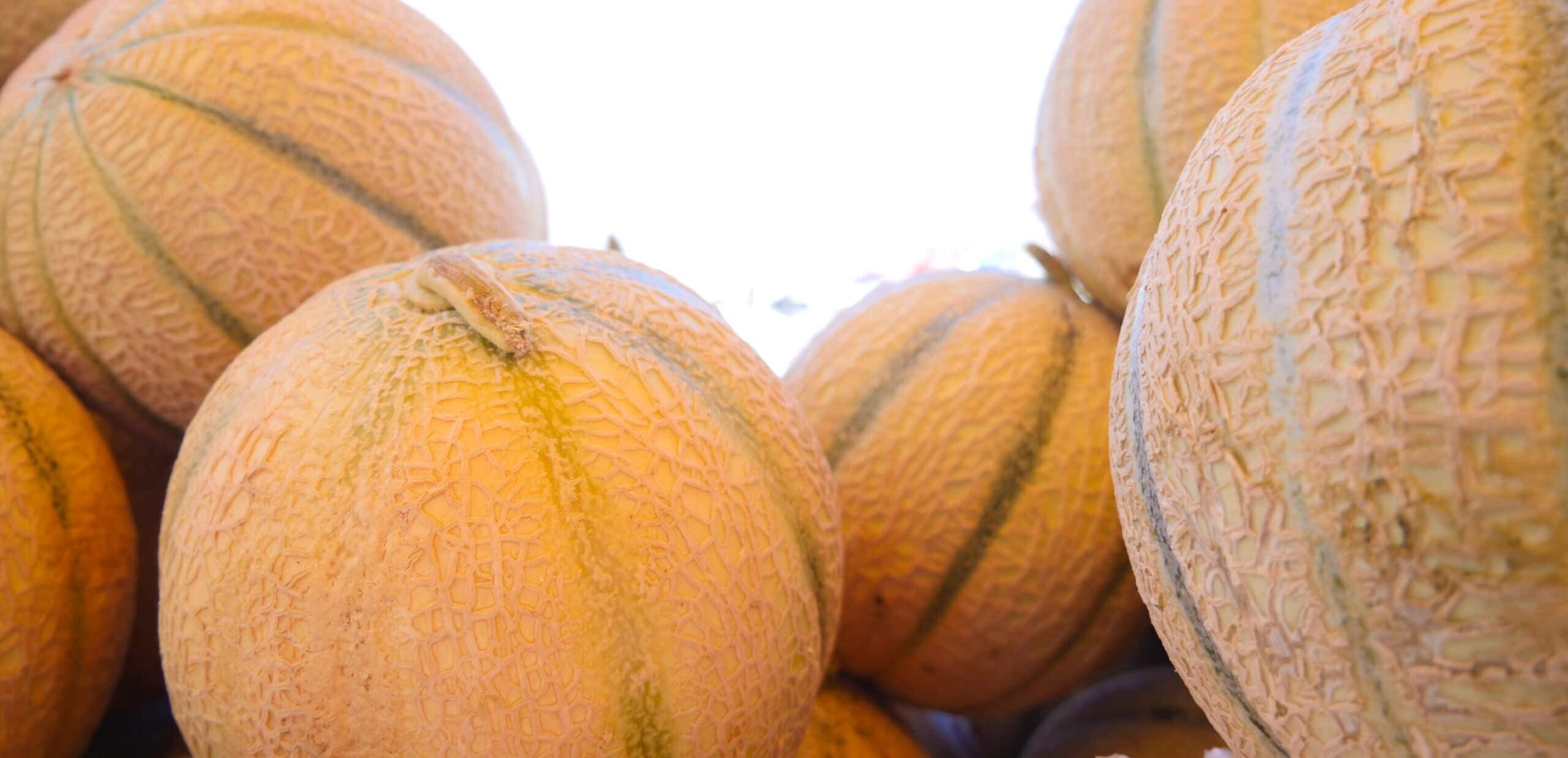 Melons sur le marché de la Madrague