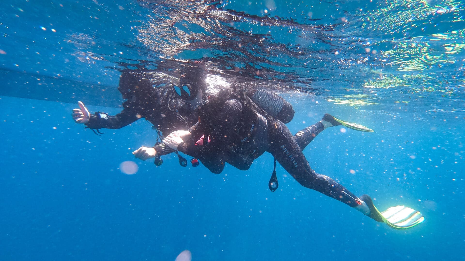 Sortie plongée été 2021 _ Lecques Aquanaut