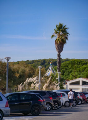 Le long de la promenade rose