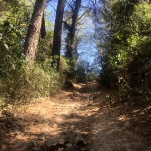 Sentier des vignes