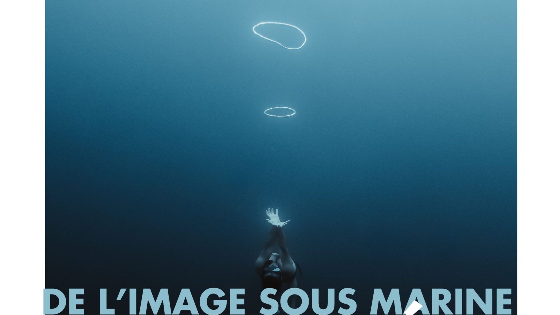 Affiche des rencontres de l'image sous marine en apnée